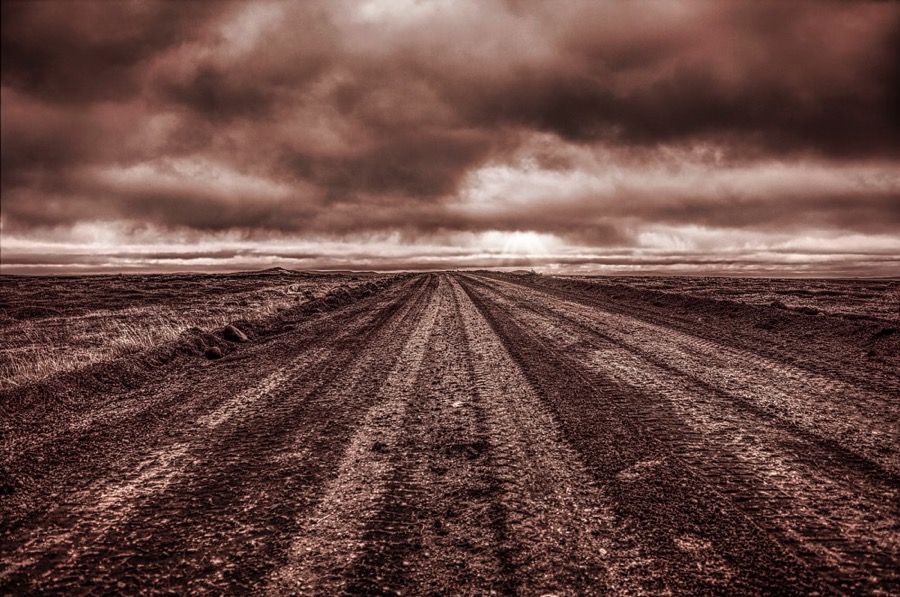 <b>Melrakkasl&eacute;tta</b><br>&THORN;essi sveitavegur liggur eftir nor&eth;anver&eth;ri Melrakkasl&eacute;ttu. N&yacute;r vegur hefur komi&eth; &iacute; hans sta&eth; og styttir lei&eth;ina milli K&oacute;paskers og Raufarhafnar, en &thorn;essi er enn eina lei&eth;in a&eth; nokkrum sveitab&aelig;jum.<br>Eintak 1 af 30<br>L&iacute;til: 30x45 cm kr. 22.000<br>Mi&eth;st&aelig;r&eth;:40x60 cm kr. 28.000<br>St&oacute;r: 50x75 cm kr. 35.000